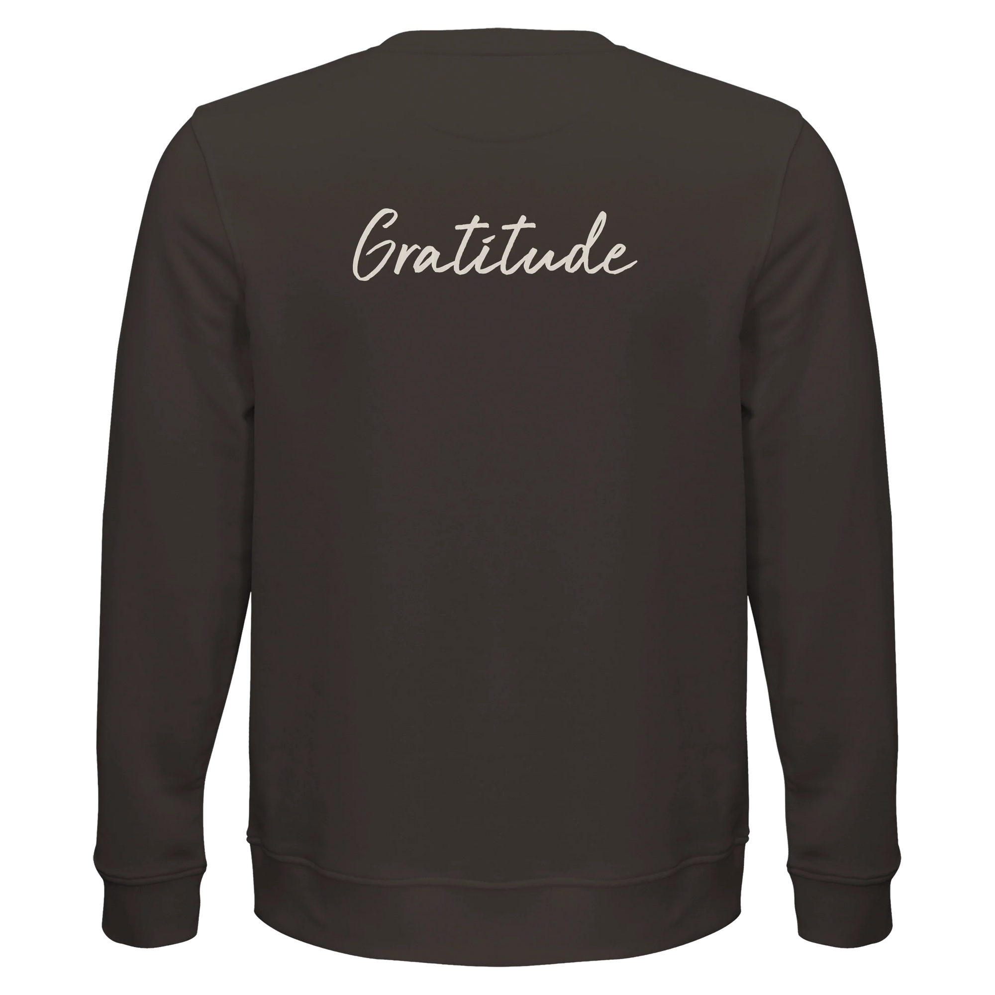 Gratitude - "Bubbles and Sky Sticks" Sweatshirt deep charcoal grey 2