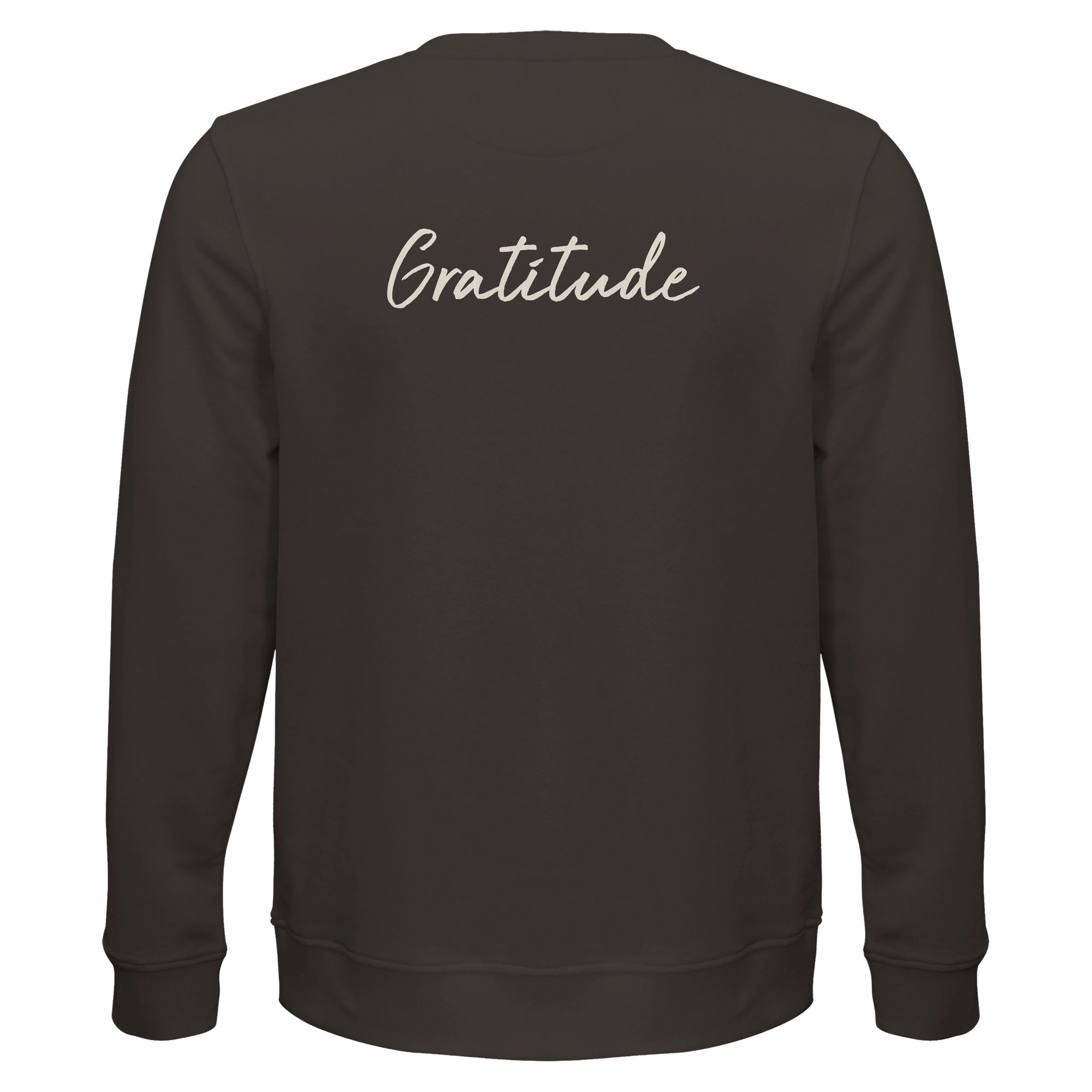 Gratitude - "Bubbles and Sky Sticks" Sweatshirt deep charcoal grey 2