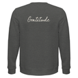 Gratitude - "Bubbles and Sky Sticks" Sweatshirt Grey Melange 2