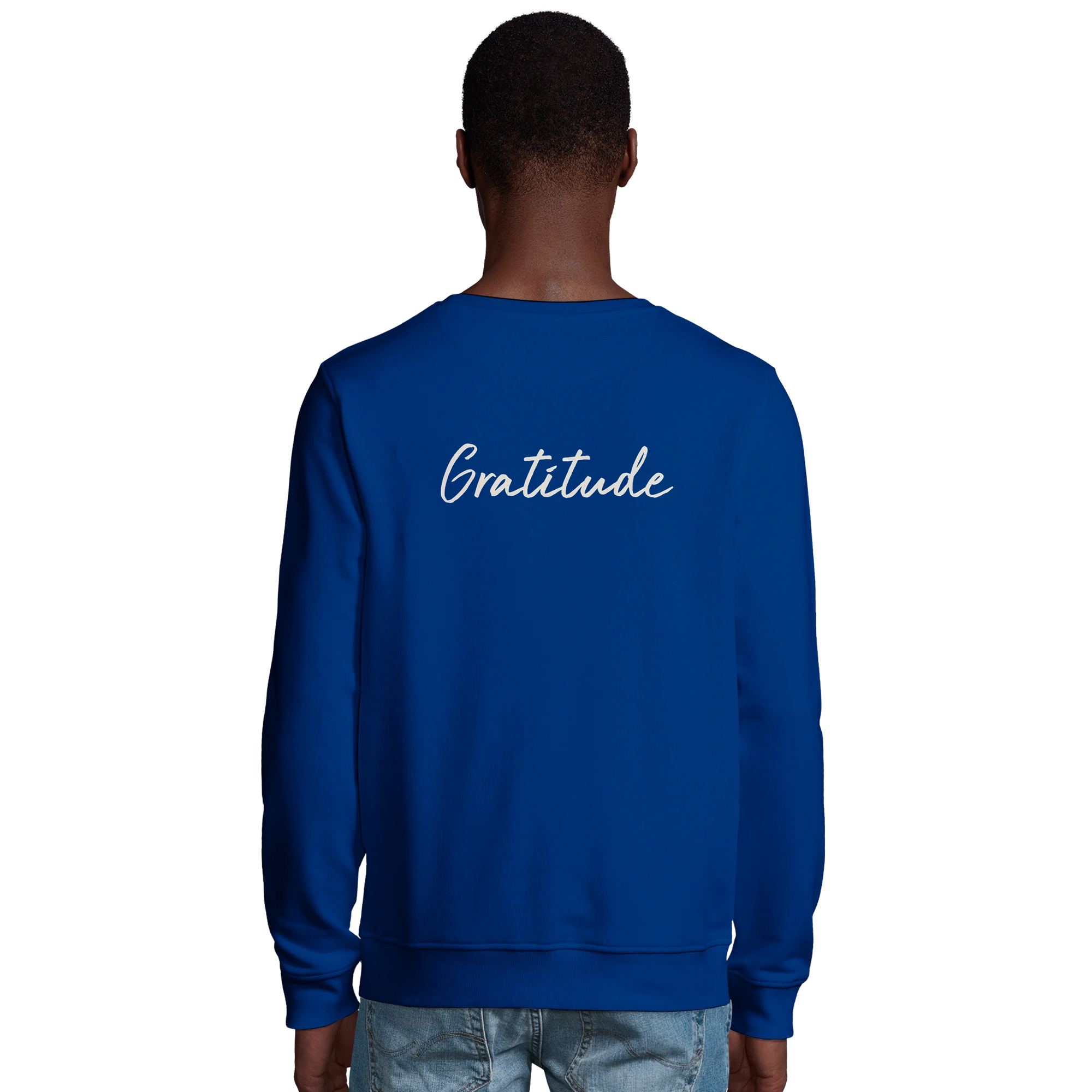 Gratitude - "Bubbles and Sky Sticks" Sweatshirt Royal Blue 4