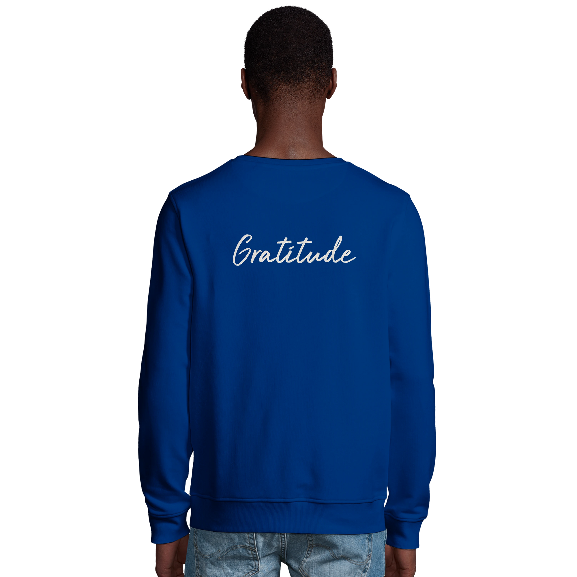 Gratitude - "Bubbles and Sky Sticks" Sweatshirt Royal Blue 4