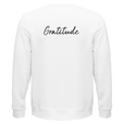 Gratitude - "Bubbles and Sky Sticks" Sweatshirt White 2