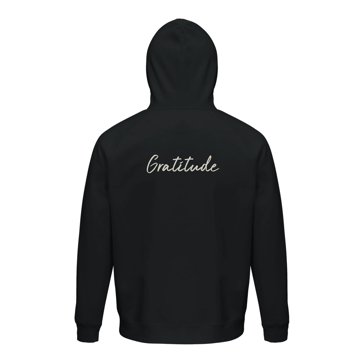 Gratitude - "Bubbles and Sky Sticks" Hoodie Black 2