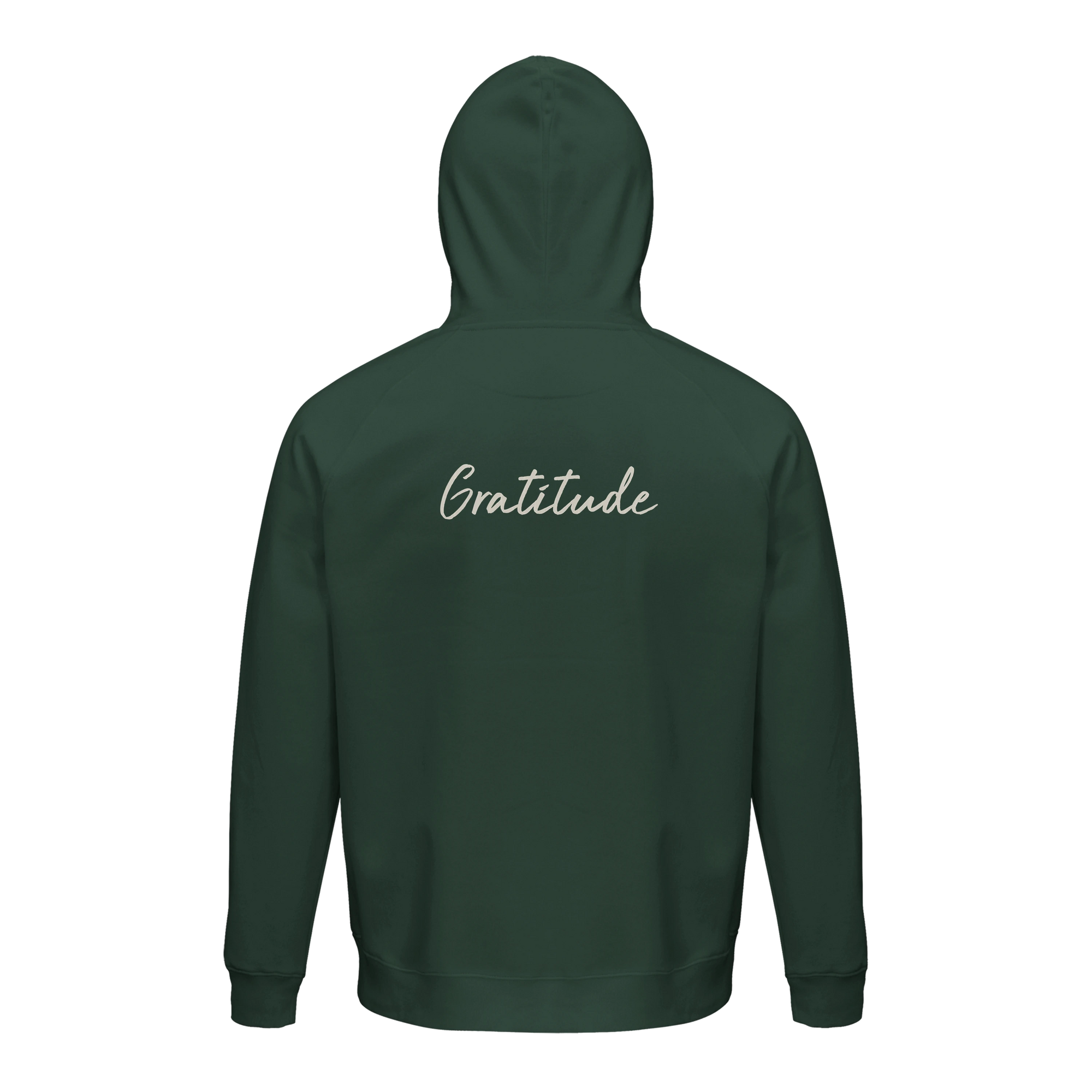 Gratitude - "Bubbles and Sky Sticks" Hoodie Bottle Green XS 2