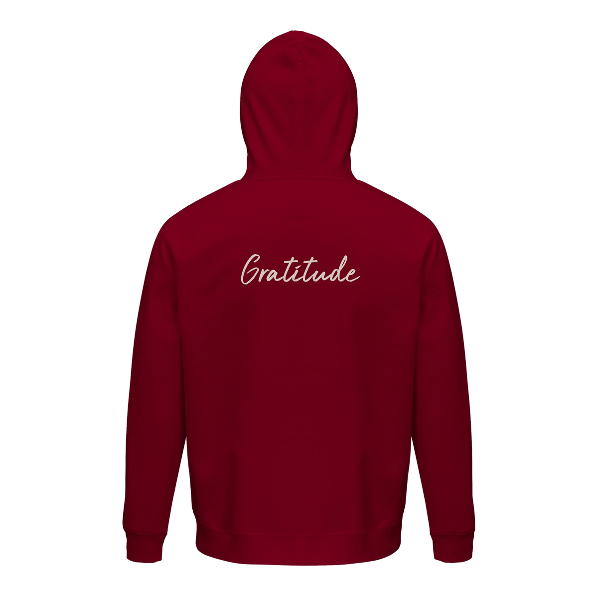 Gratitude - "Bubbles and Sky Sticks" Hoodie Burgundy 2