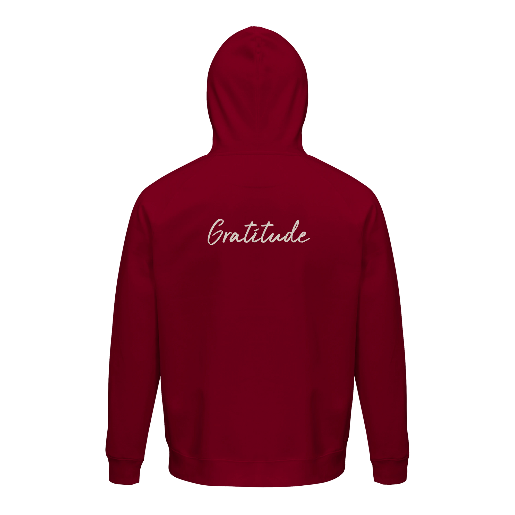Gratitude - "Bubbles and Sky Sticks" Hoodie Burgundy XS 2