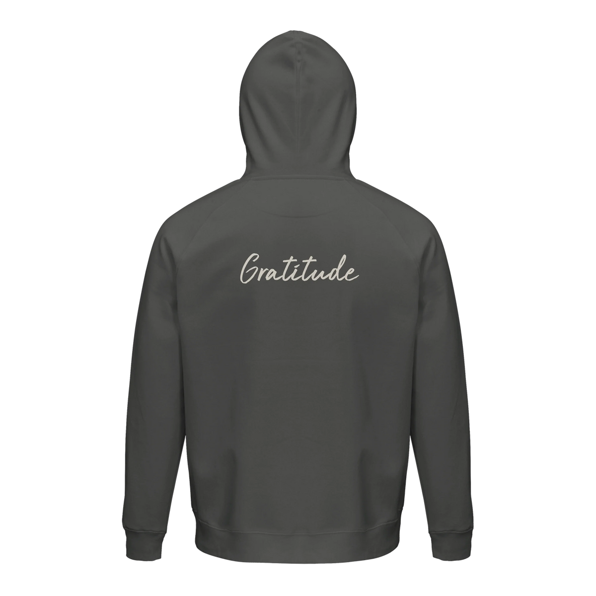 Gratitude - "Bubbles and Sky Sticks" Hoodie charcoal melange 2