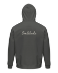 Gratitude - "Bubbles and Sky Sticks" Hoodie charcoal melange XS 2