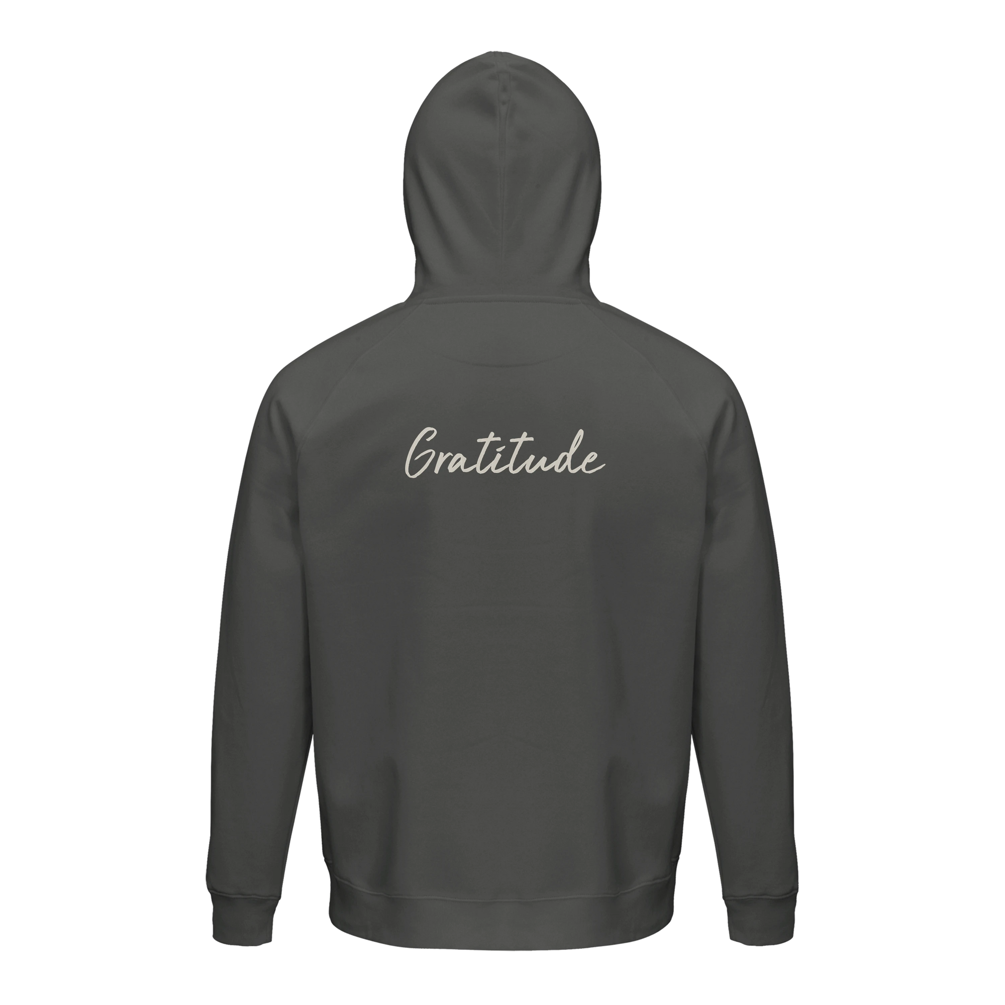 Gratitude - "Bubbles and Sky Sticks" Hoodie charcoal melange XS 2
