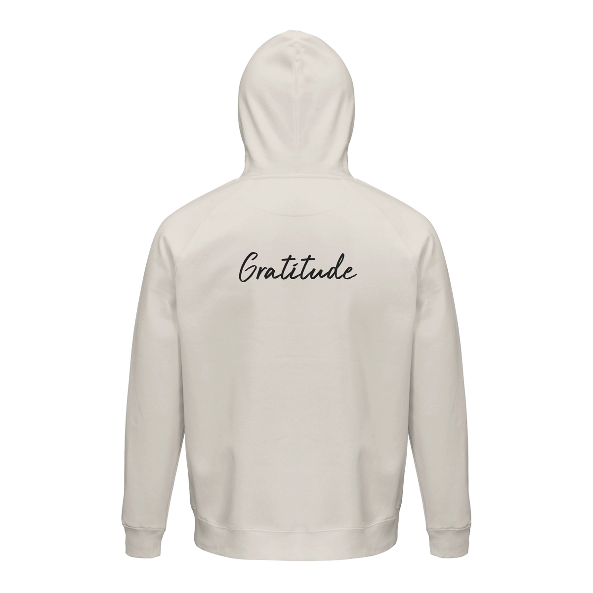 Gratitude - "Bubbles and Sky Sticks" Hoodie Off White 2
