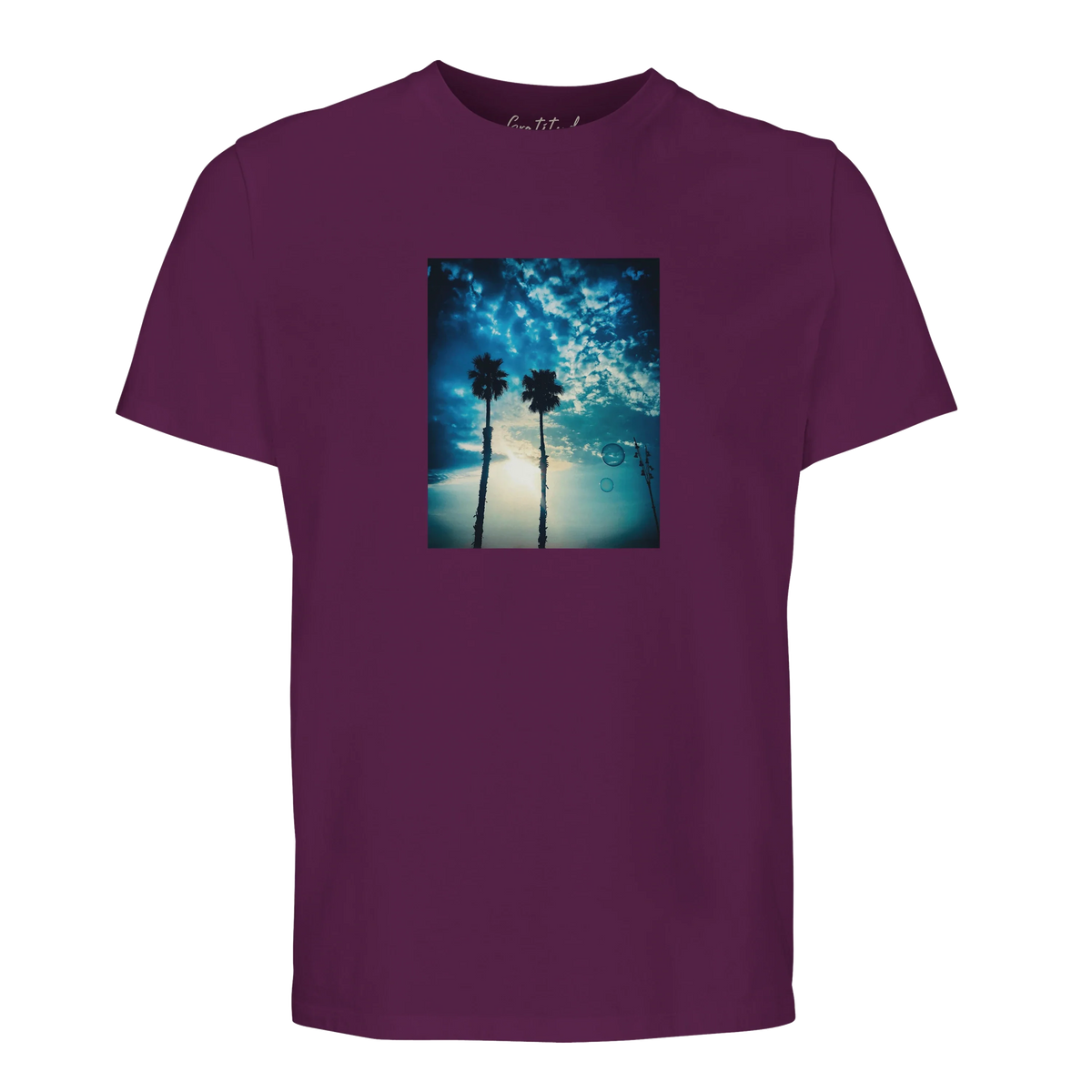 Gratitude - "Bubbles and Sky Sticks" T-shirt astral purple 1