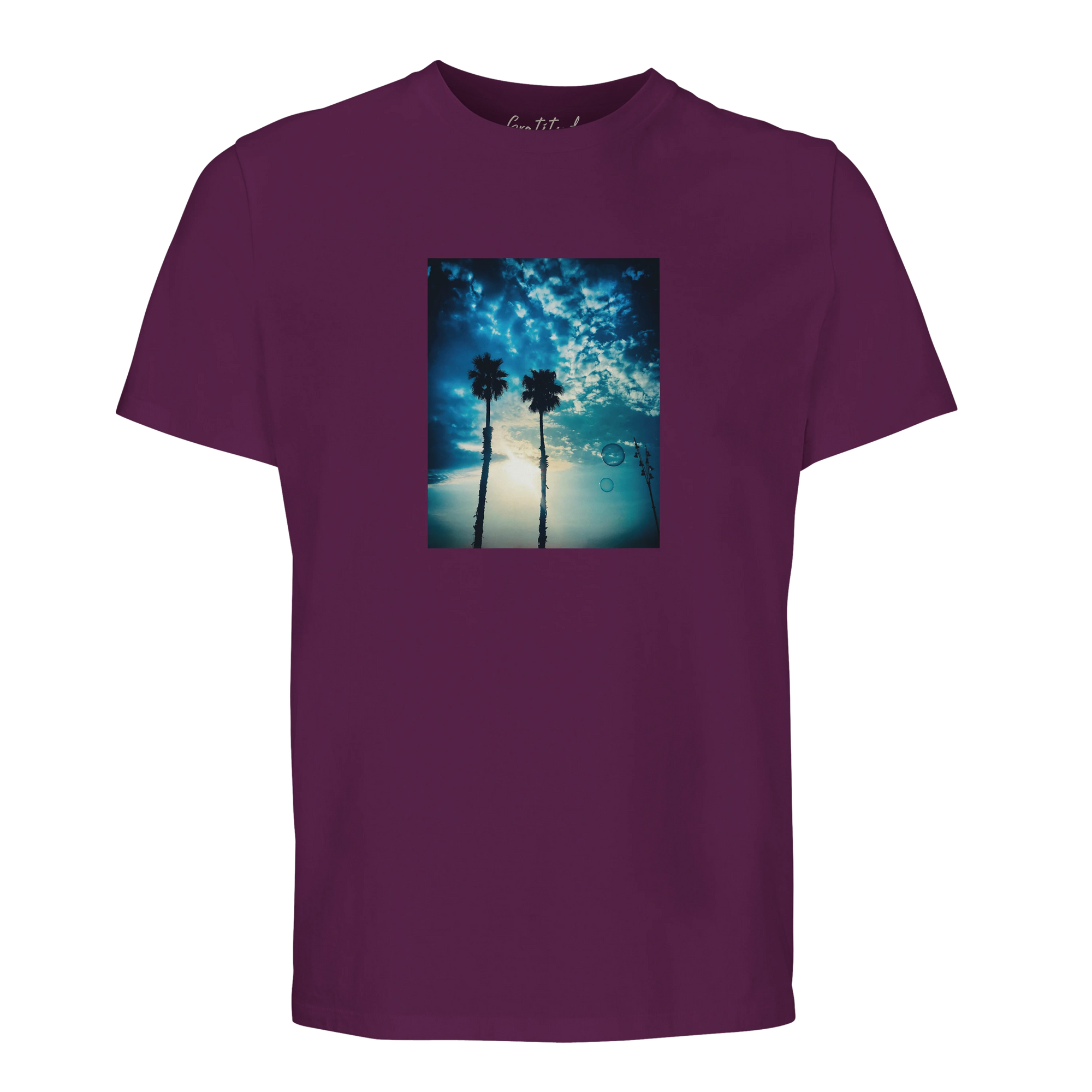 Gratitude - "Bubbles and Sky Sticks" T-shirt astral purple 1