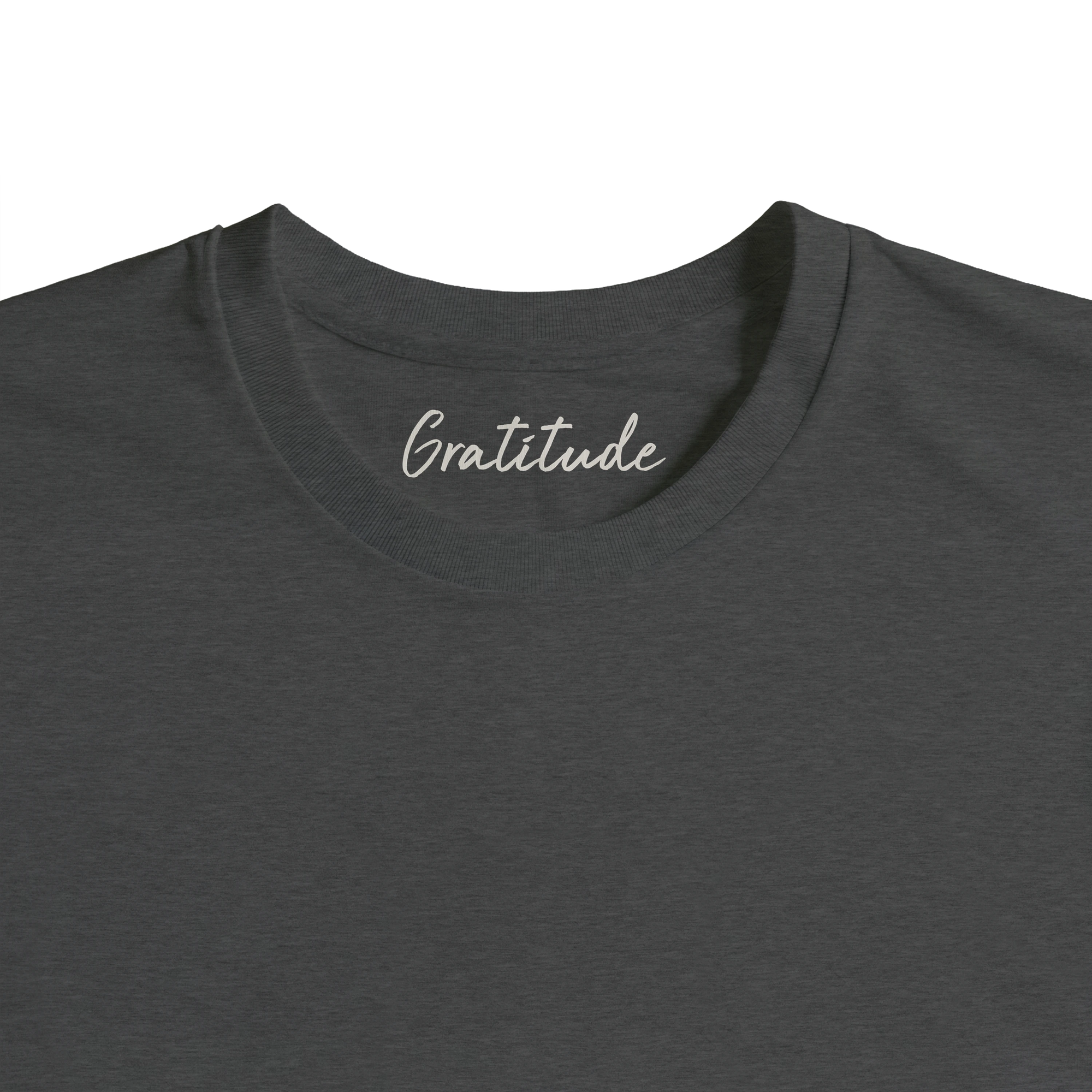 Gratitude - "Bubbles and Sky Sticks" T-shirt Grey Melange 2