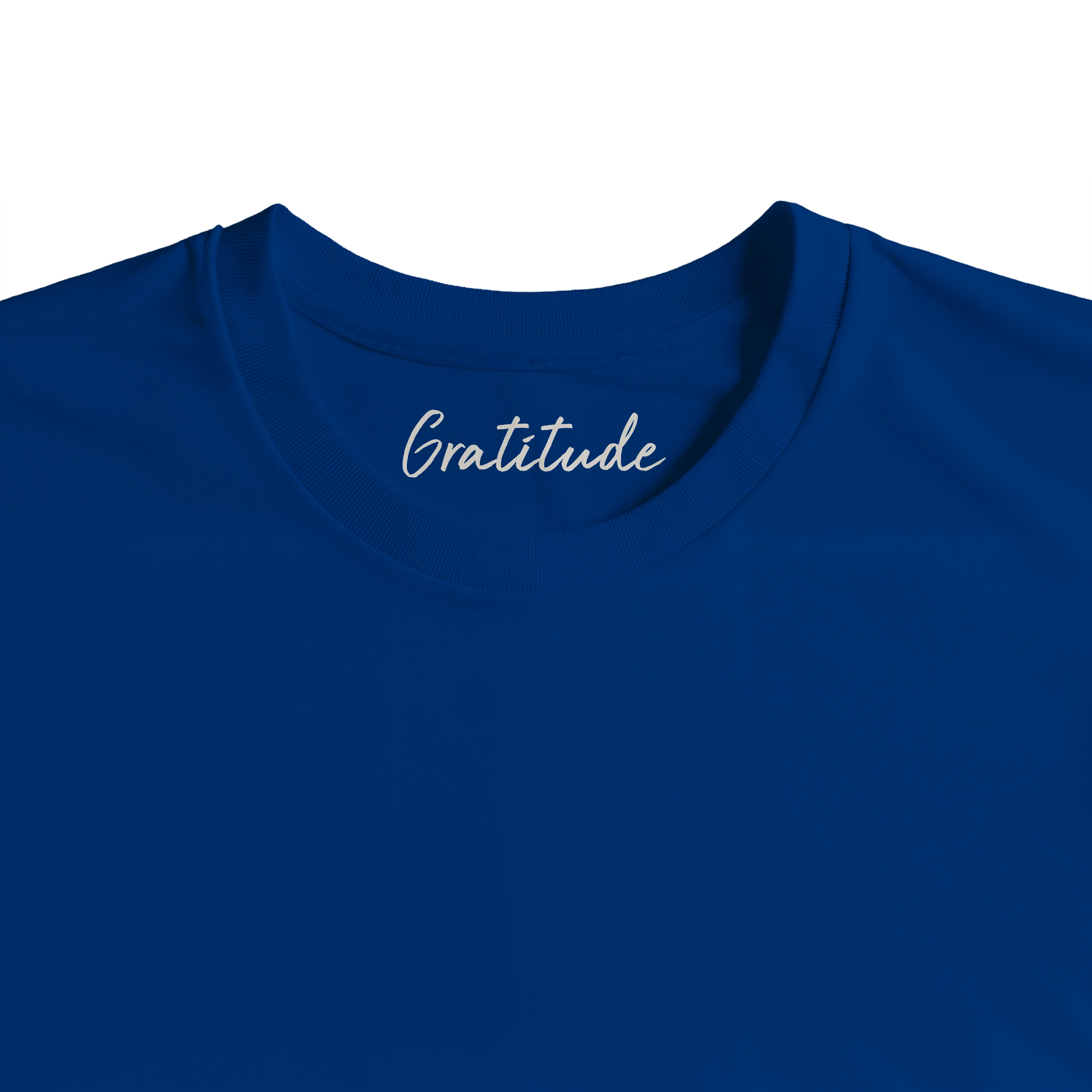 Gratitude - "Bubbles and Sky Sticks" T-shirt Royal Blue 2