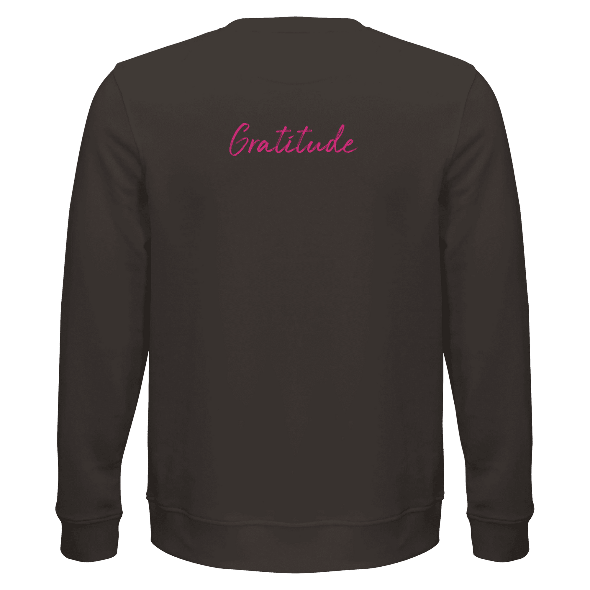 Gratitude - "Bubbles and Sky Sticks" Sweatshirt deep charcoal grey XS 5