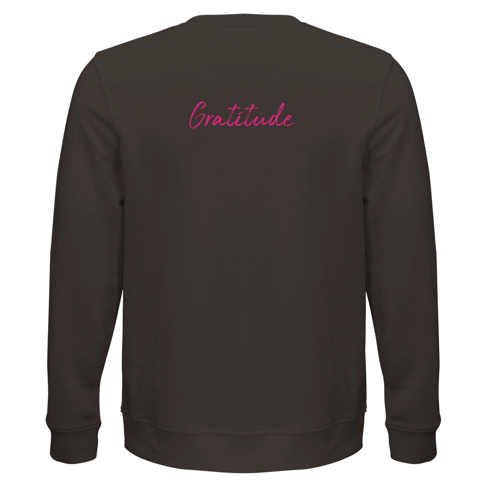 Gratitude - "Bubbles and Sky Sticks" Sweatshirt deep charcoal grey XS 17