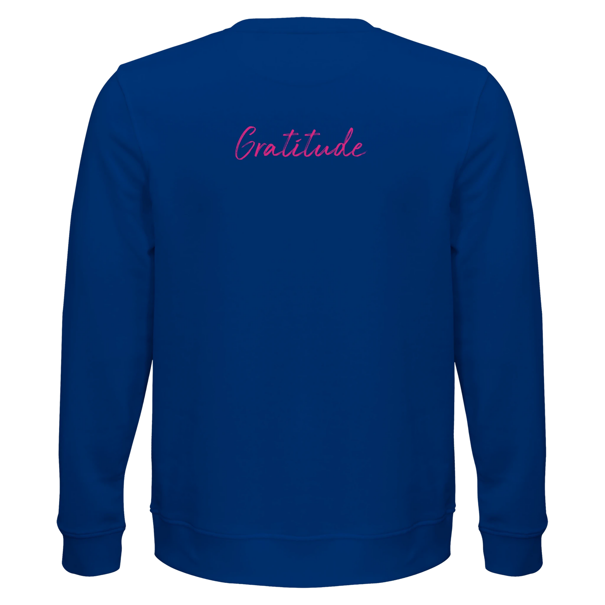 Gratitude - "Bubbles and Sky Sticks" Sweatshirt Royal Blue XS 29