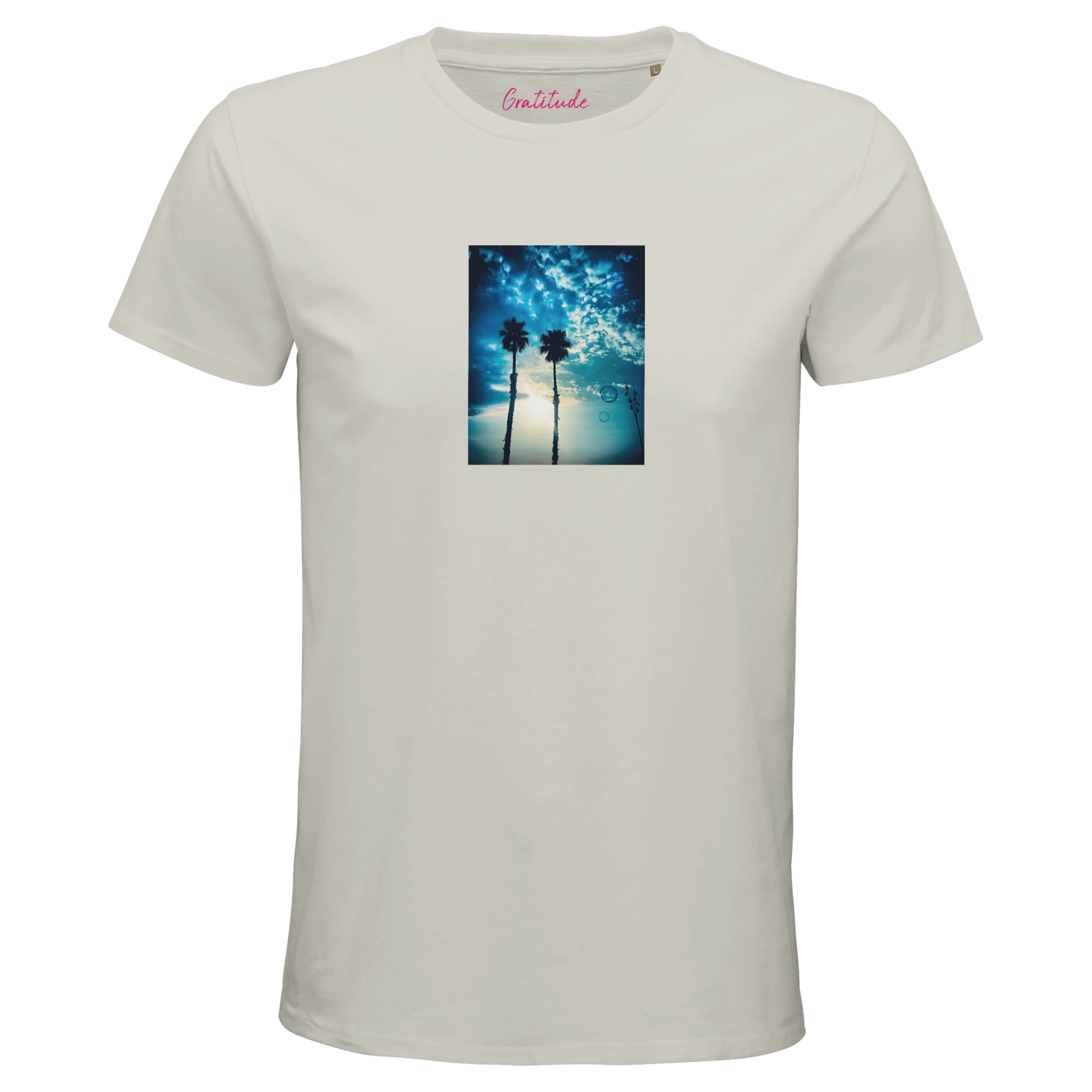 Gratitude - "Bubbles and Sky Sticks" T-shirt Ash XS 16