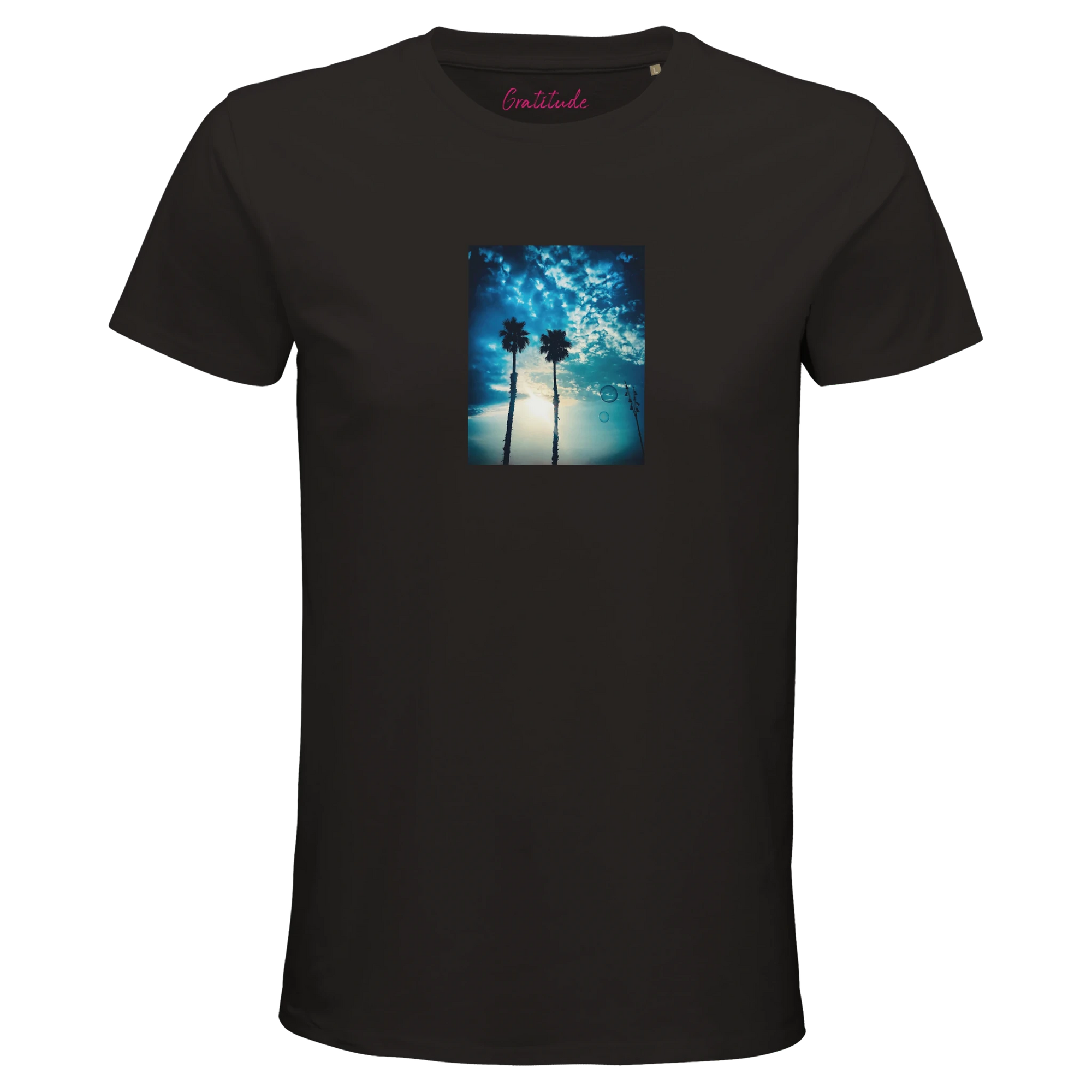 Gratitude - "Bubbles and Sky Sticks" T-shirt Deep Black XS 52