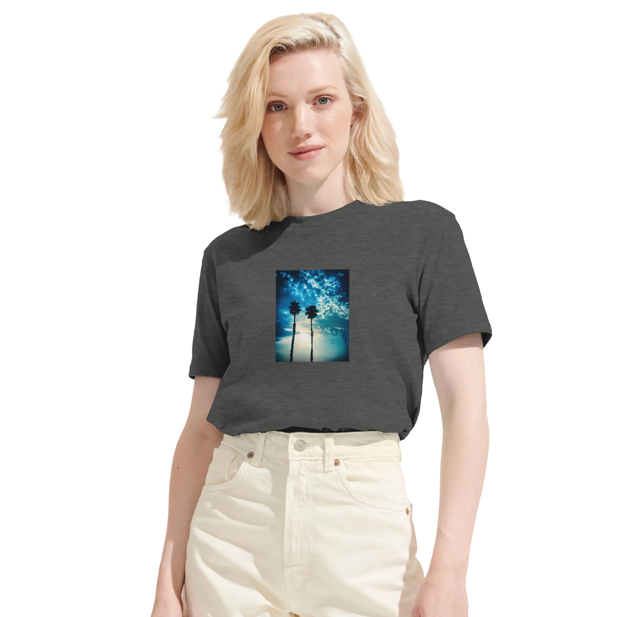 Gratitude - "Bubbles and Sky Sticks" T-shirt Grey Melange XS 39