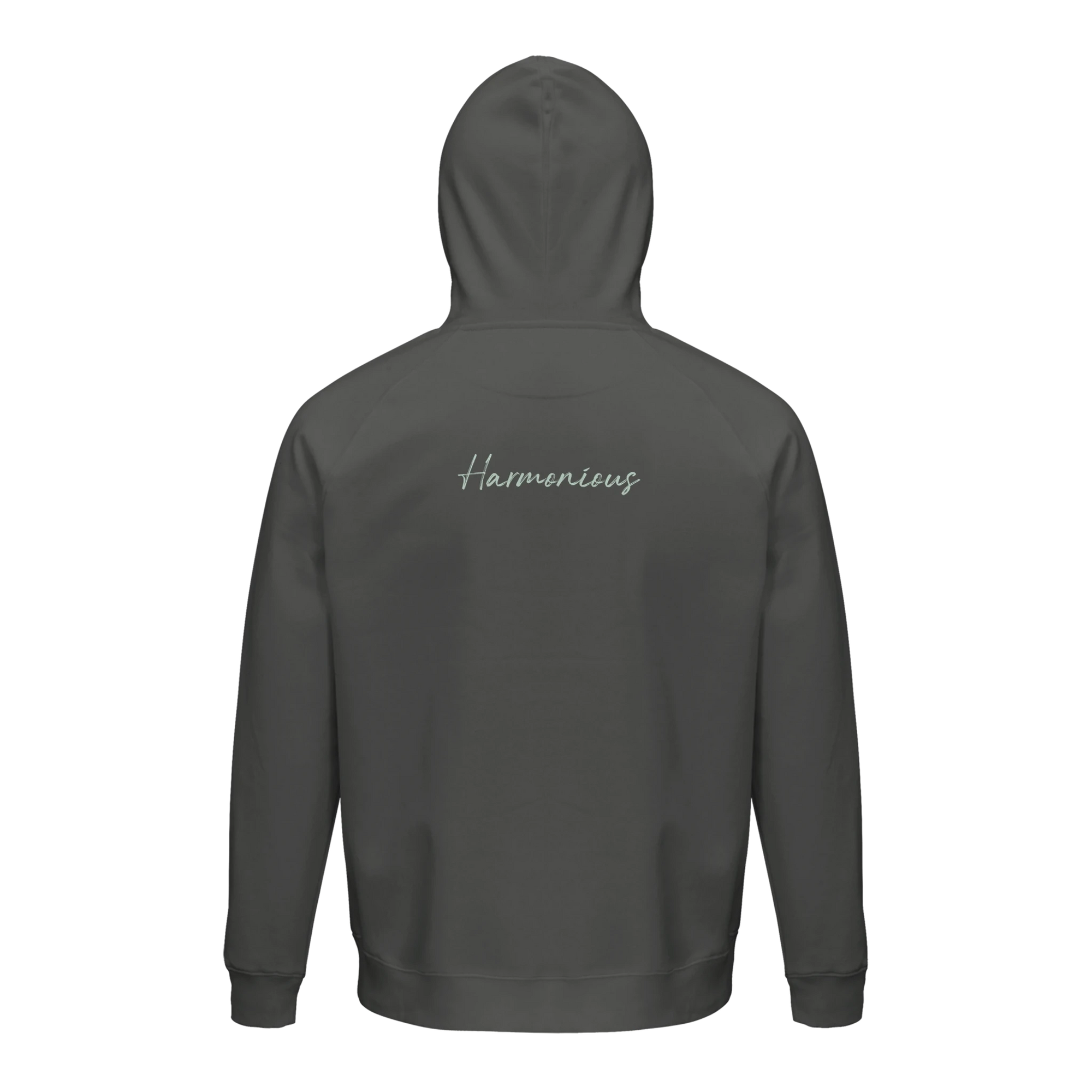 Harmonious - "Underwater Flight" Hoodie charcoal melange XS 20