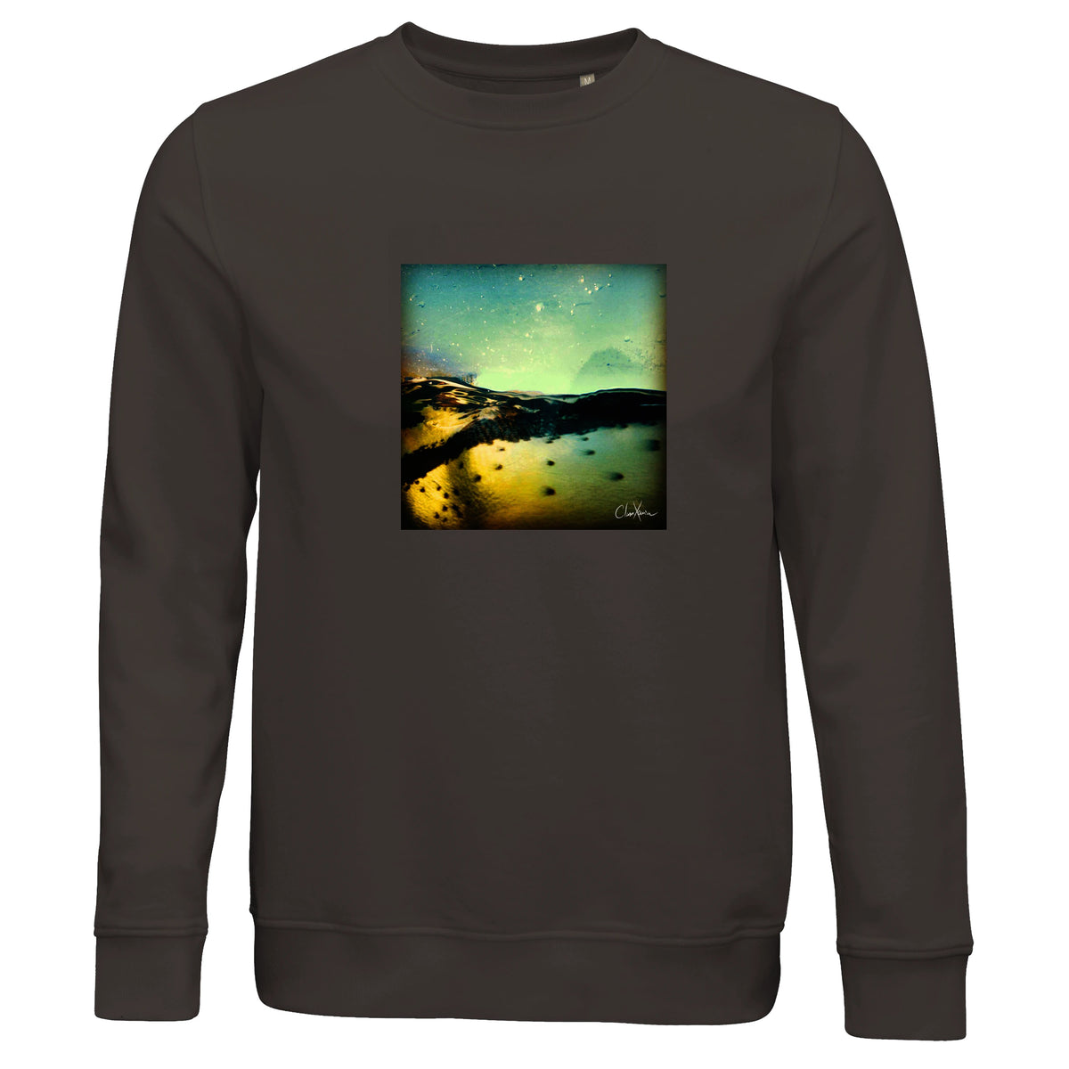 Harmonious - "Underwater Flight" Sweatshirt deep charcoal grey 1
