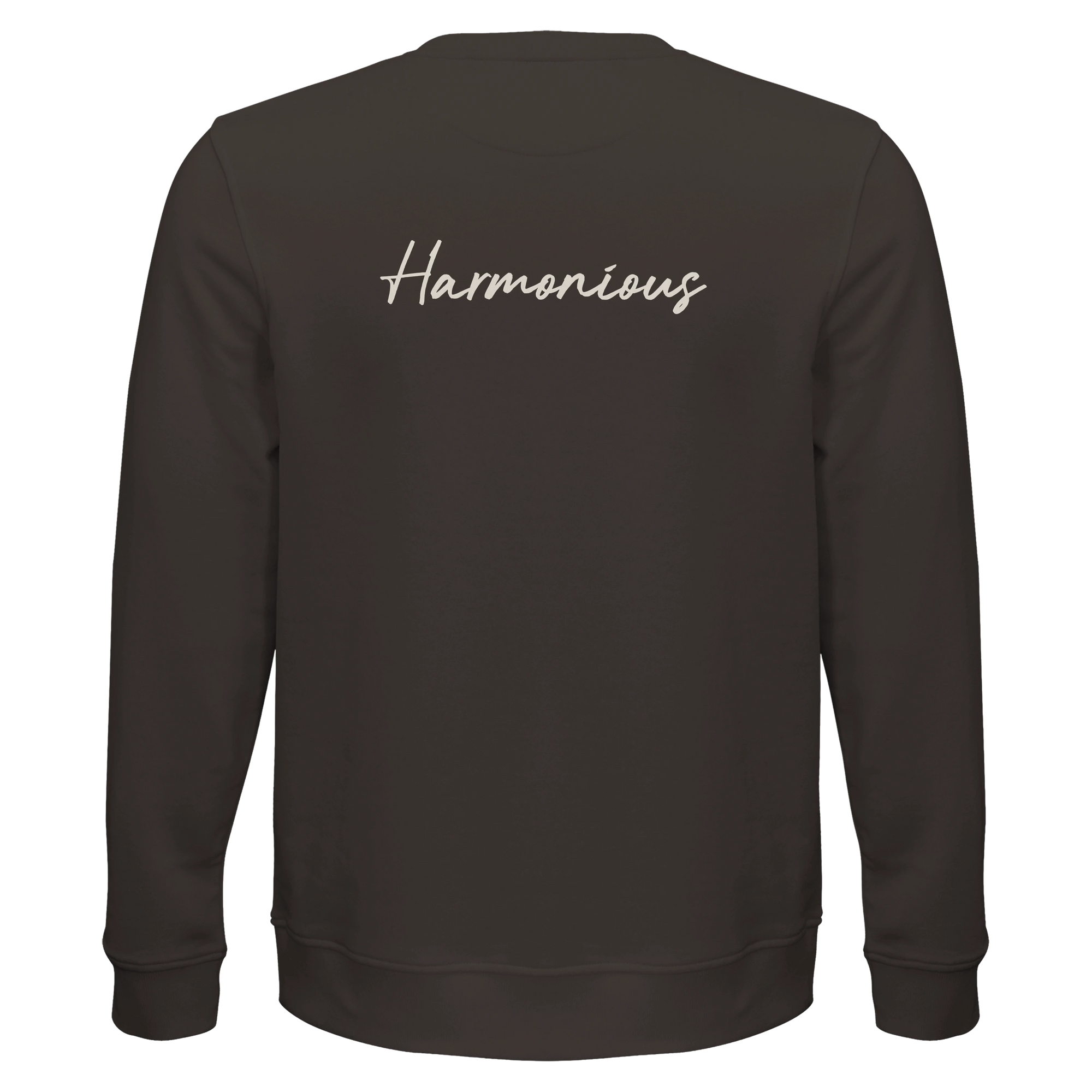 Harmonious - "Underwater Flight" Sweatshirt deep charcoal grey 2