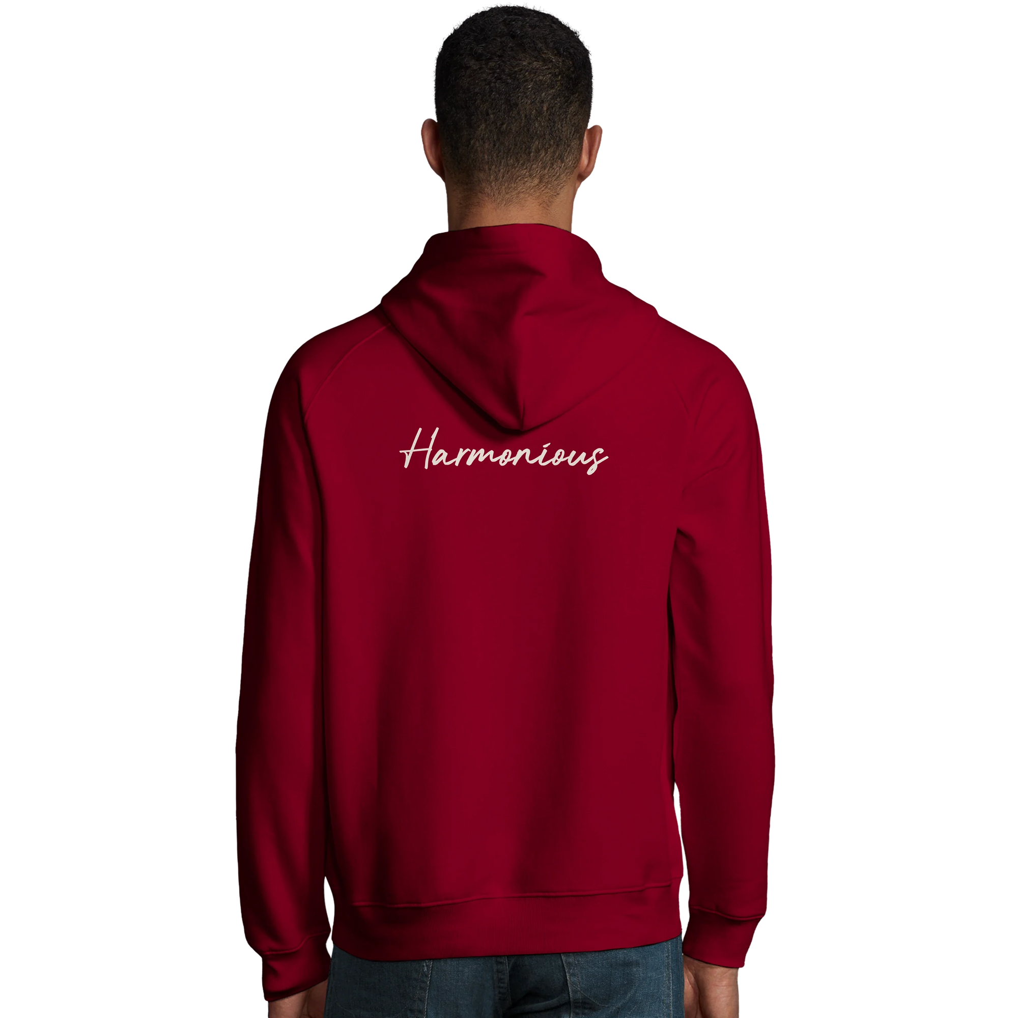 Harmonious - "Underwater Flight" Hoodie Burgundy 4