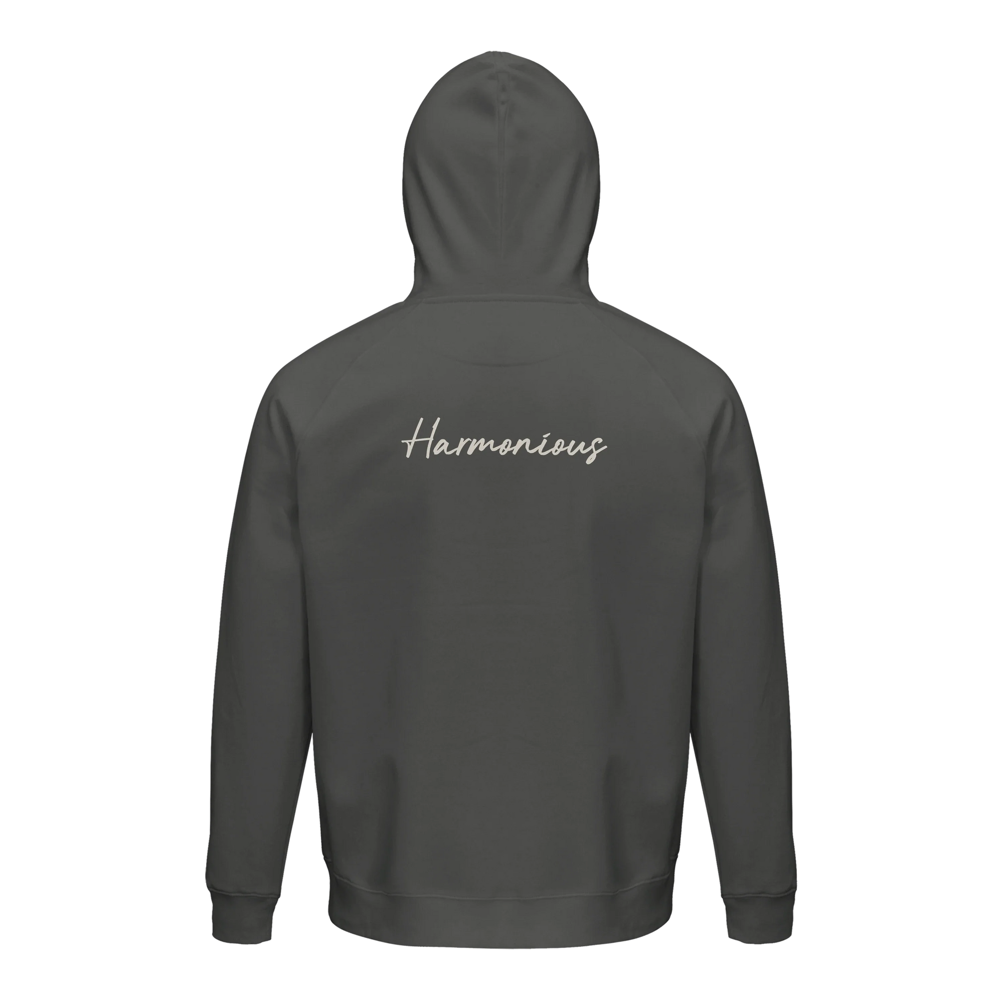 Harmonious - "Underwater Flight" Hoodie charcoal melange 2
