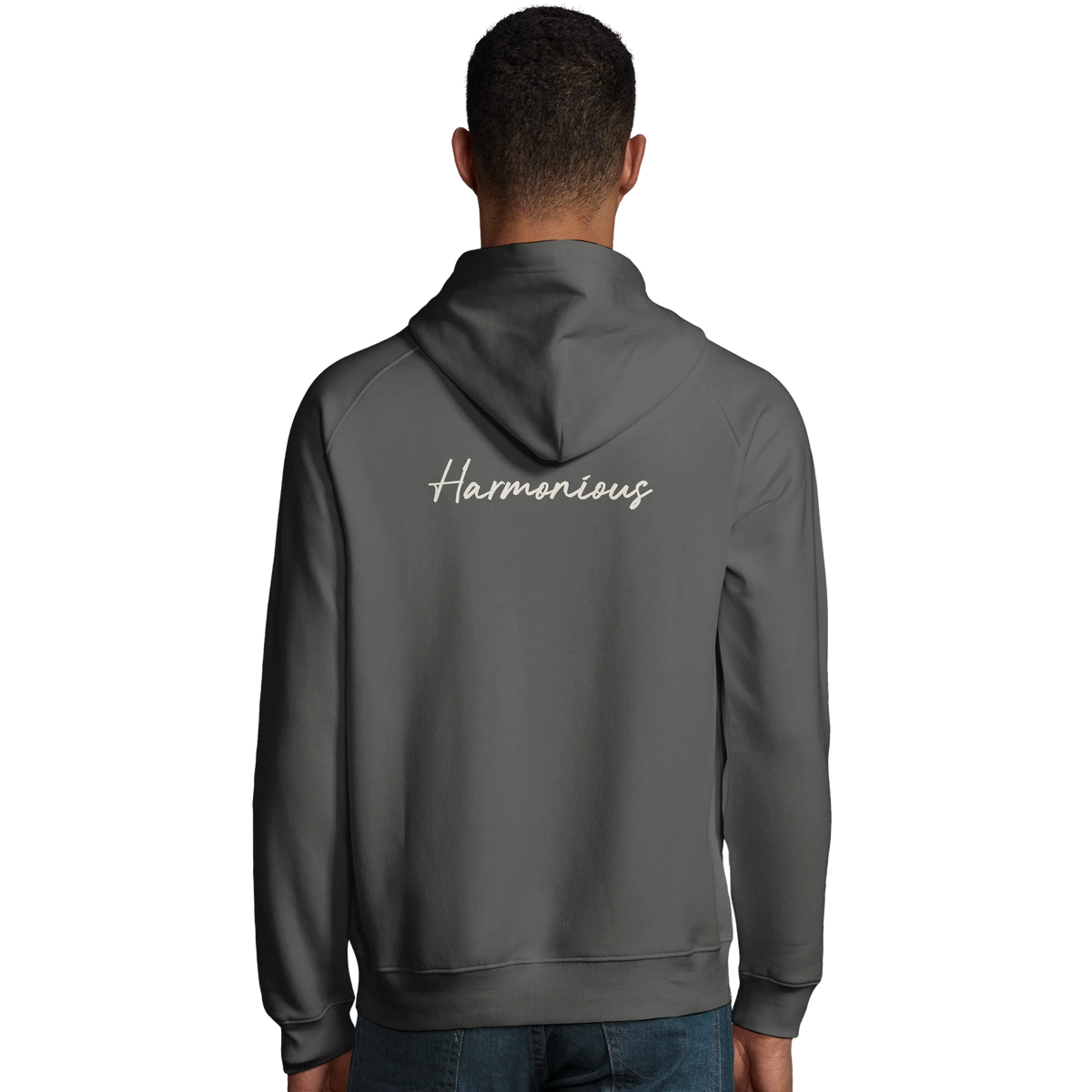 Harmonious - "Underwater Flight" Hoodie charcoal melange 4