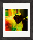 In the Eye Framed print 20x25 cm / 8x10″ Black frame 24