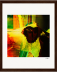 In the Eye Framed print 20x25 cm / 8x10″ Dark wood frame 24