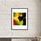 In the Eye Framed print 20x25 cm / 8x10″ White frame 2