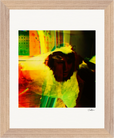 In the Eye Framed print 20x25 cm / 8x10″ Wood frame 15
