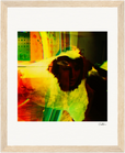 In the Eye Framed print 20x25 cm / 8x10″ Wood frame 15