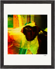 In the Eye Framed print 27x35 cm / 11x14″ Black frame 25