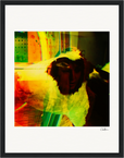 In the Eye Framed print 27x35 cm / 11x14″ Black frame 34