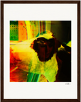 In the Eye Framed print 27x35 cm / 11x14″ Dark wood frame 25