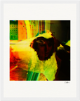 In the Eye Framed print 27x35 cm / 11x14″ White frame 7
