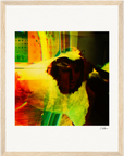 In the Eye Framed print 27x35 cm / 11x14″ Wood frame 16