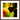In the Eye Framed print 30x30 cm / 12x12″ Dark wood frame 26