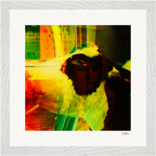 In the Eye Framed print 30x30 cm / 12x12″ White frame 8