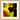 In the Eye Framed print 30x30 cm / 12x12″ Wood frame 17