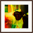 In the Eye Framed print 40x40 cm / 16x16″ Dark wood frame 27