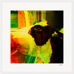 In the Eye Framed print 40x40 cm / 16x16″ White frame 9
