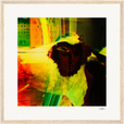 In the Eye Framed print 40x40 cm / 16x16″ Wood frame 18