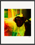 In the Eye Framed print 40x50 cm / 16x20″ Black frame 37