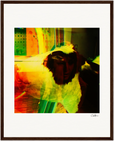 In the Eye Framed print 40x50 cm / 16x20″ Dark wood frame 28