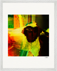 In the Eye Framed print 40x50 cm / 16x20″ White frame 10