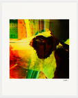 In the Eye Framed print 40x50 cm / 16x20″ White frame 10